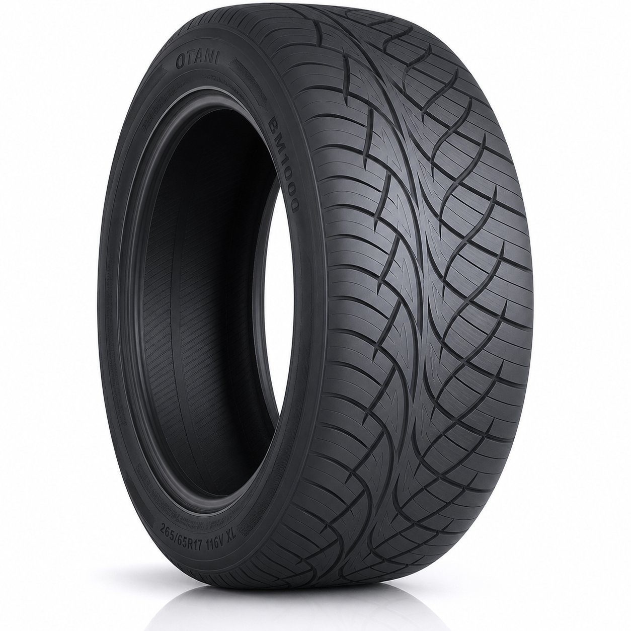 OTANI 245/45/18 100V XL BM1000 TL(T)