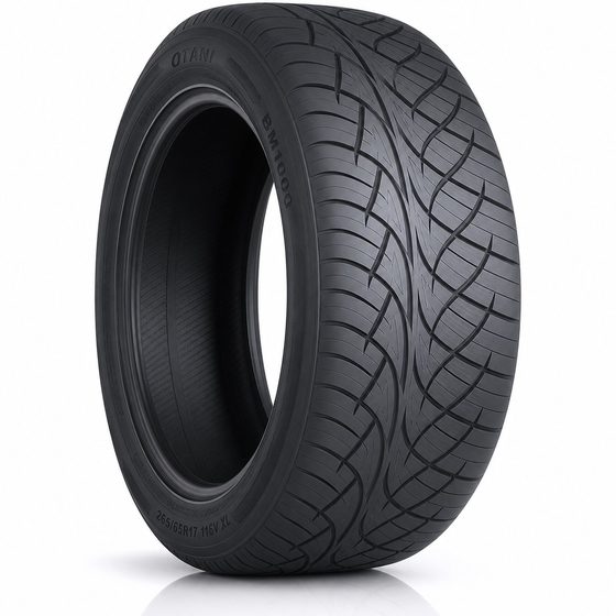 OTANI 245/45/18 100V XL BM1000 TL(T)