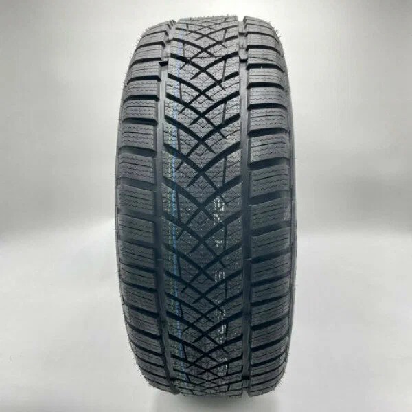 OTANI 225/60/17 103H XL WK1000